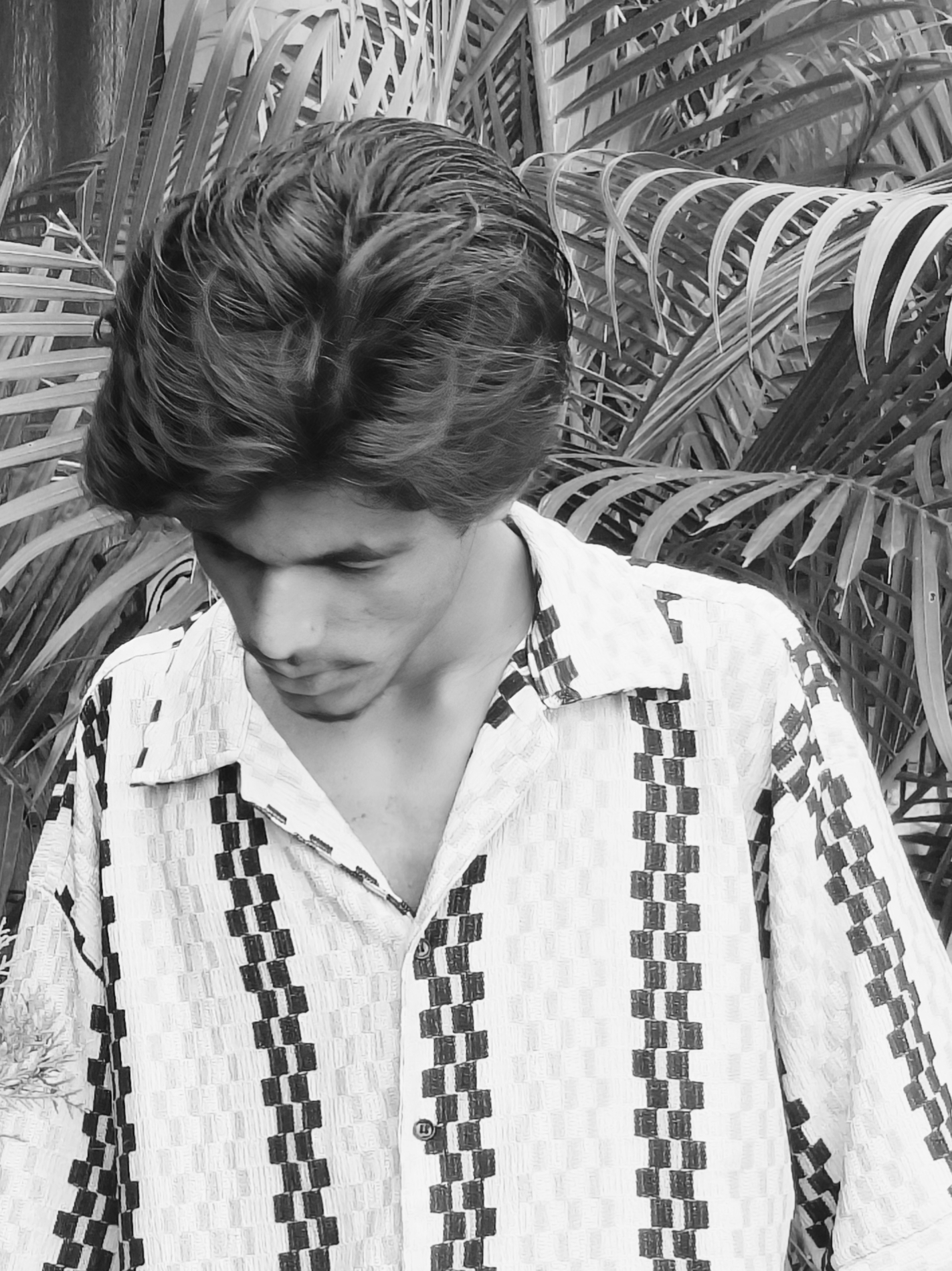 Palm Shade